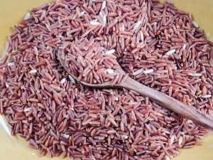 Alles wat je moet weten over rijst